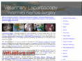veterinarylaparoscopy.com