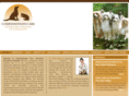 charlottepetdoctor.com