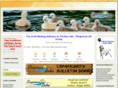 cupsawlake.com