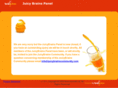 juicybrainspanel.com