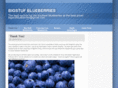 bigstufblueberries.com