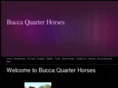 buccaquarterhorses.com