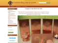 copperbullioncoin.com
