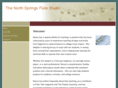 northspringsflutestudio.com
