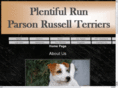 plentifulrun.com