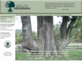 signaltree.org