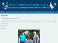 bluediamondfamilylofts.com