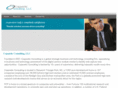copaseticconsulting.com