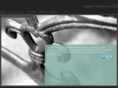 digitaldarkroomdc.com