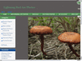 lpqr.com