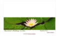 papajollysgoa.com