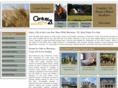searchshermanhomes.com