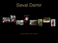 sevaldemir.com