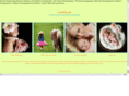cuddlebugsonline.com