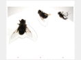 ecila.org