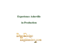 experience-asheville.com