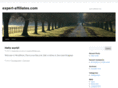 expert-affiliates.com