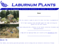 laburnumplants.co.uk