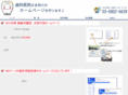 ns-333.com