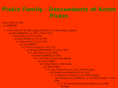 pickin.net