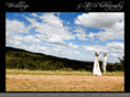 aj-photography.com.au