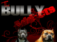 bullyaddicts.net