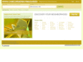 camcorderbuyingguides.com