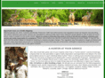 hunter-international.net