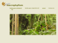 macrophyllum.com