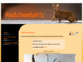 redcheetahs.com