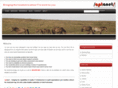 aptanet.co.uk