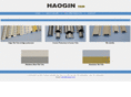 haogin.com