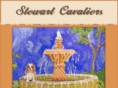 stewartcavaliers.com