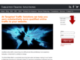 targetedtrafficsolutions.com