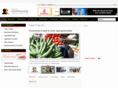 ugaserve.com