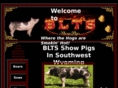 bltsshowpigs.com