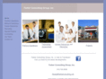 farberconsulting.com