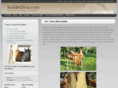 saddlediva.com