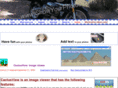 showyourphotos.com