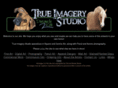 trueimagery.com