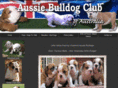 aussiebulldogclub.com