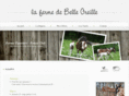 belleoreille.com