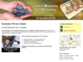 laurelmountaincoinjewelry.com
