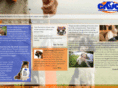 ck9c.com