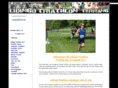 lidingotriathlon.com