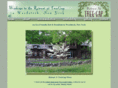 treegapretreat.com