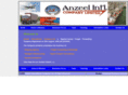 anzeelinternational.com