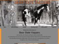 bearstatevaquero.com