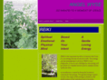 angelwyse.com