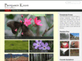 benjaminkoon.com